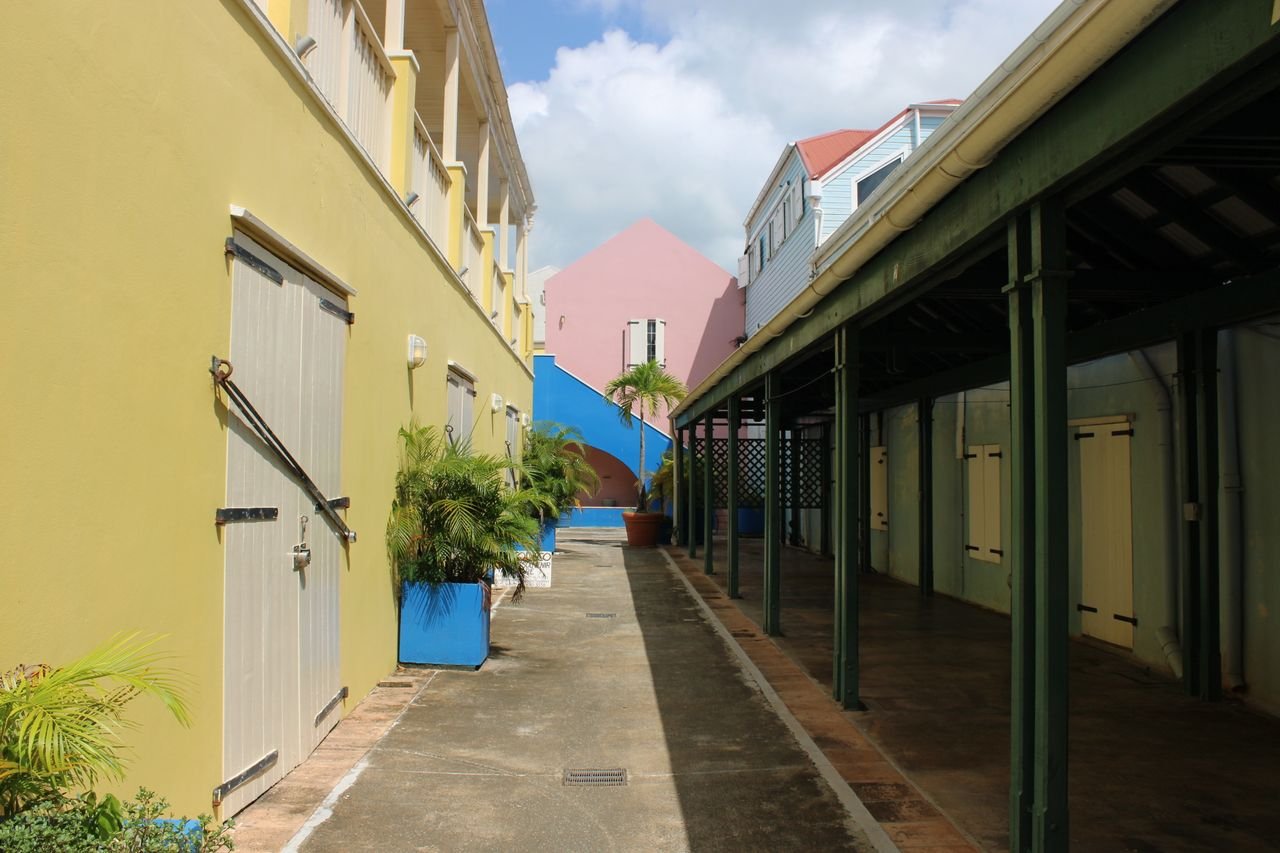 A charming alleyway with colorful houses and potted plants, capturing a peaceful small town vibe.