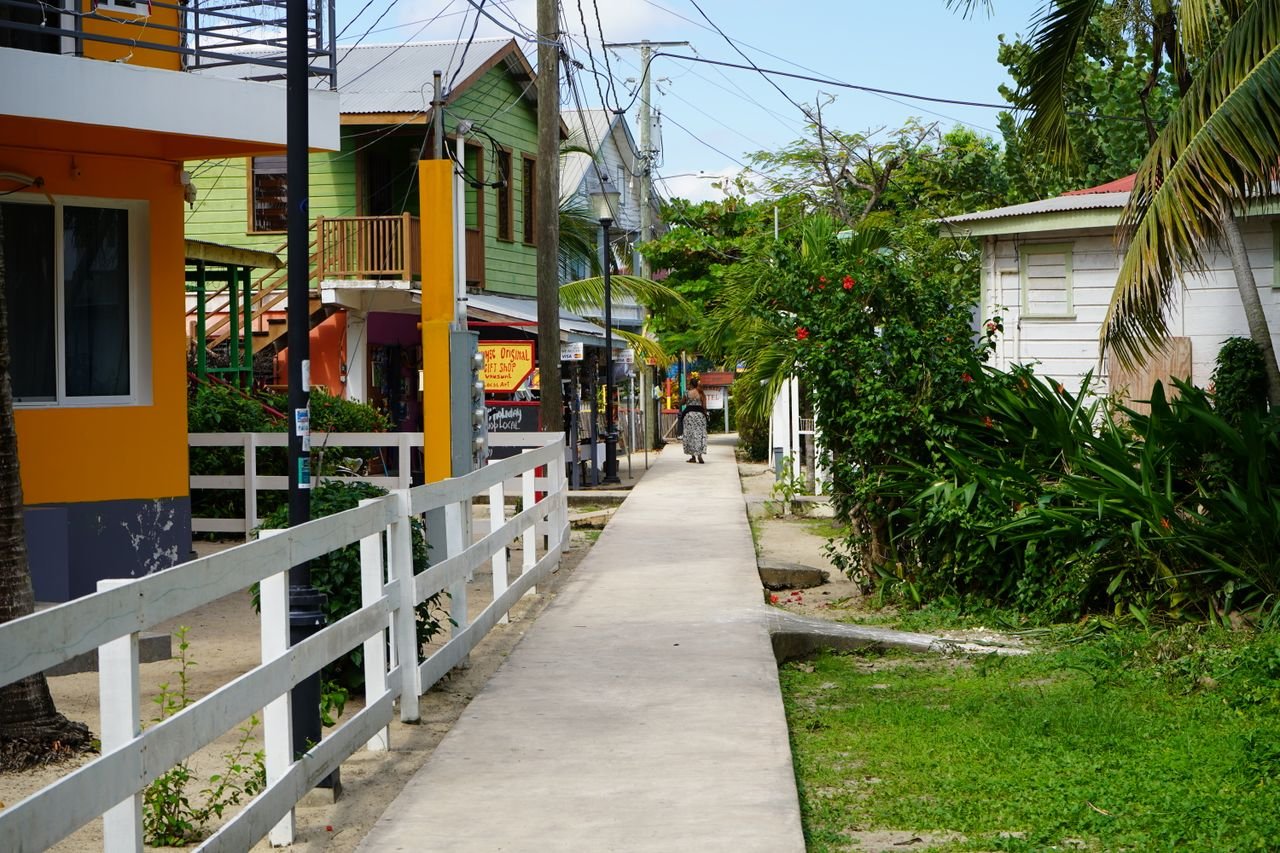 Picturesque walkway lined with colorful houses in Placencia, Belize. Lush foliage creates a tropical vibe.